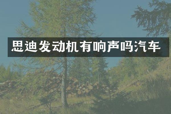 思迪发动机有响声吗汽车