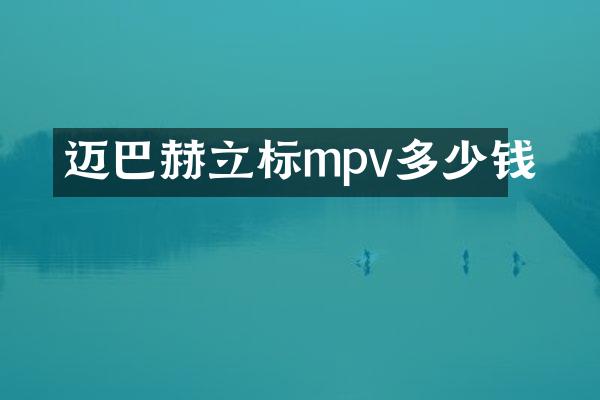 迈巴赫立标mpv多少钱