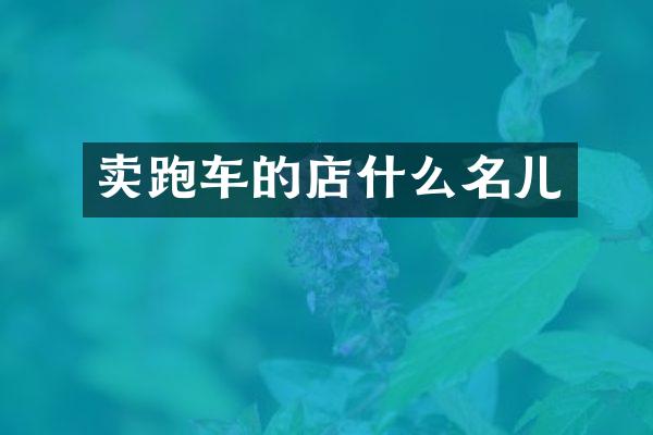 卖跑车的店什么名儿