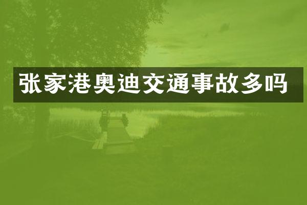 张家港奥迪交通事故多吗