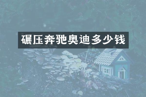 碾压奔驰奥迪多少钱