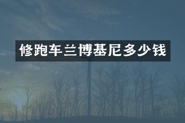修跑车兰博基尼多少钱