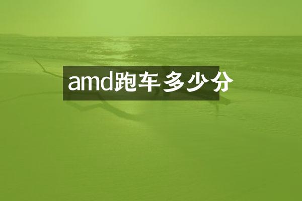amd跑车多少分