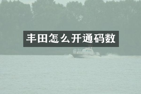 丰田怎么开通码数