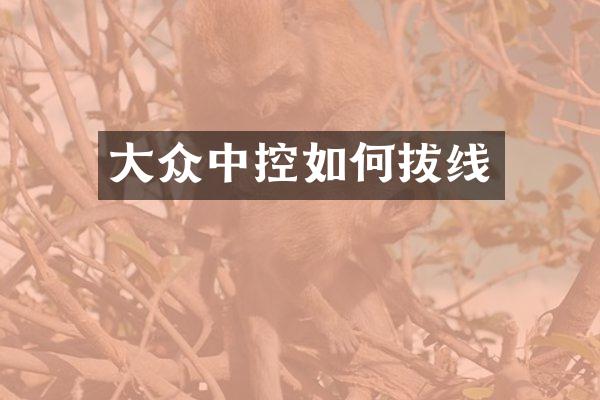 大众中控如何拔线