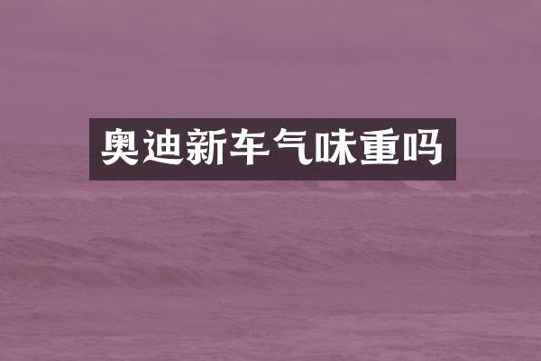 奥迪新车气味重吗