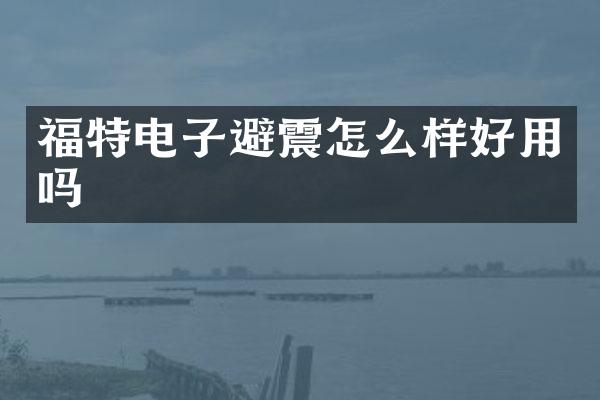 福特电子避震怎么样好用吗