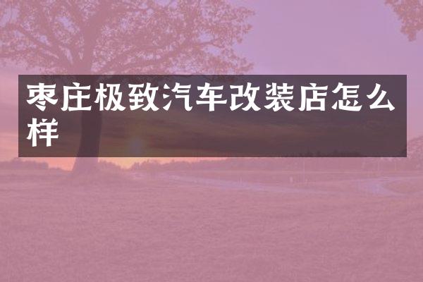 枣庄极致汽车改装店怎么样