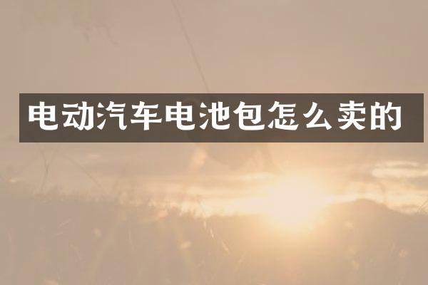 电动汽车电池包怎么卖的