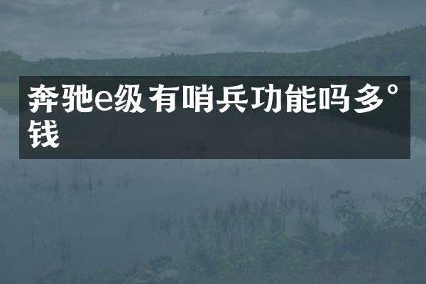 奔驰e级有哨兵功能吗多少钱
