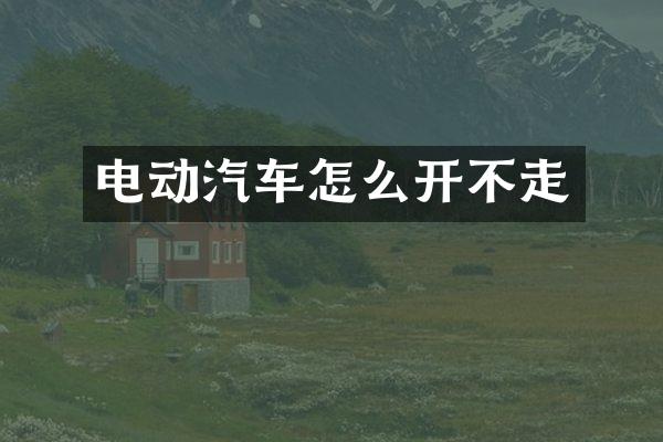 电动汽车怎么开不走