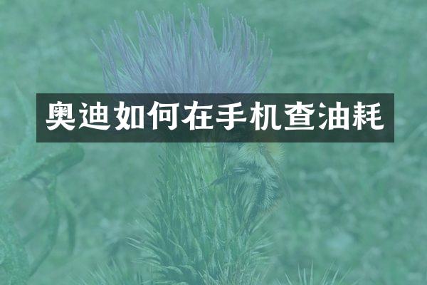 奥迪如何在手机查油耗