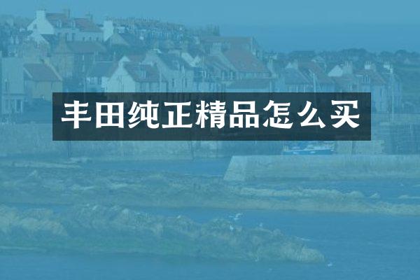 丰田纯正精品怎么买