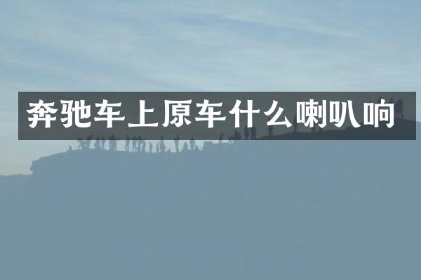 奔驰车上原车什么喇叭响