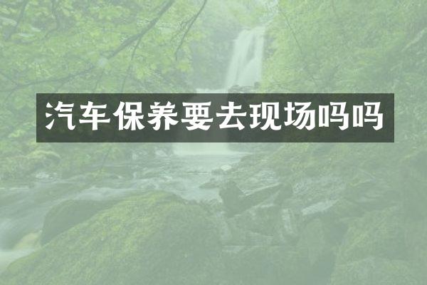 汽车保养要去现场吗吗