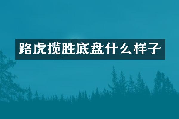 路虎揽胜底盘什么样子