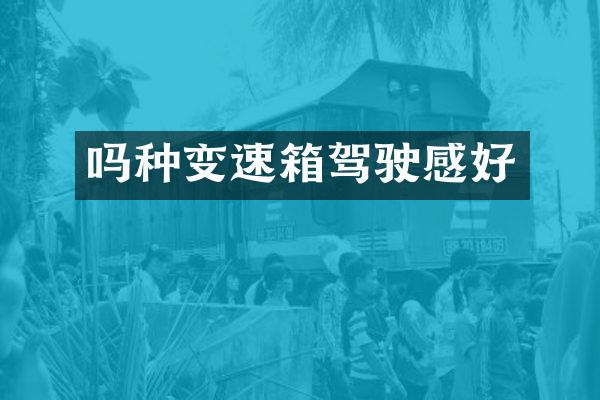 吗种变速箱驾驶感好