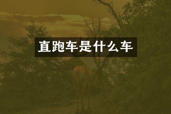 直跑车是什么车