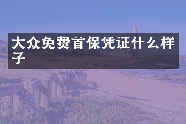 大众免费首保凭证什么样子
