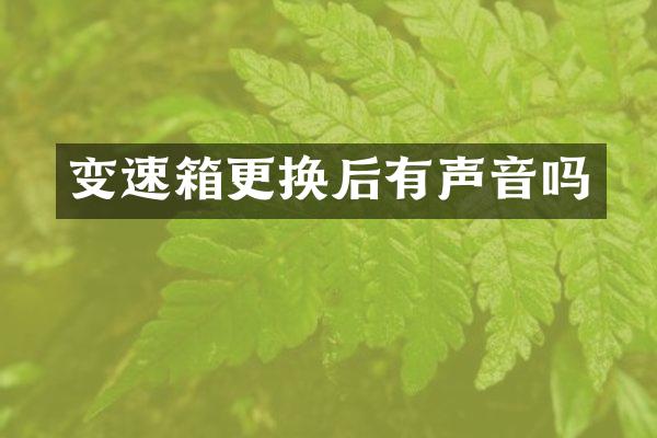 变速箱更换后有声音吗