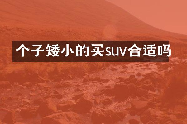 个子矮小的买suv合适吗