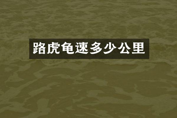路虎龟速多少公里