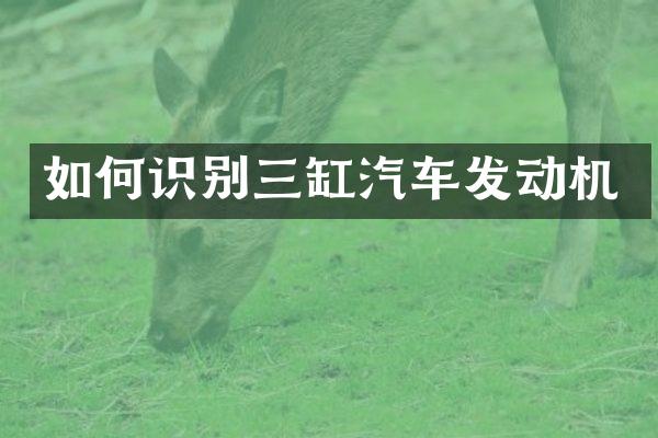 如何识别三缸汽车发动机
