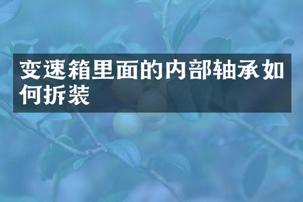 变速箱里面的内部轴承如何拆装