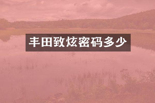 丰田致炫密码多少