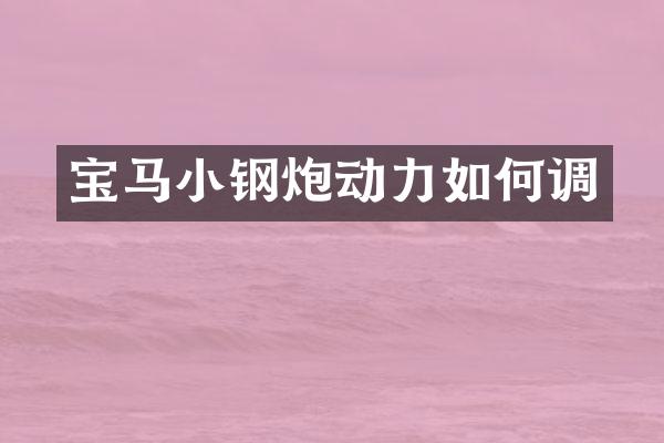 宝马小钢炮动力如何调
