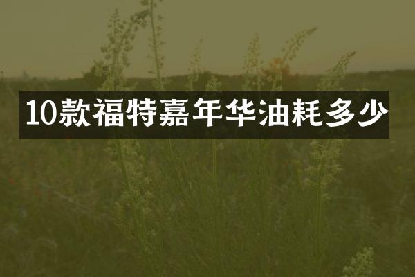 10款福特嘉年华油耗多少