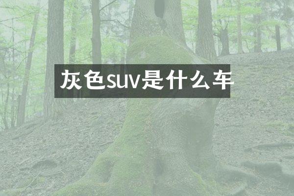 灰色suv是什么车