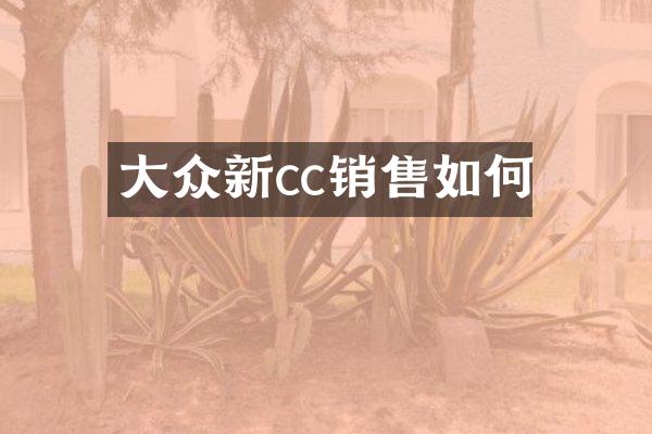 大众新cc销售如何