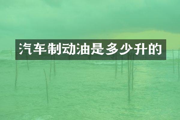 汽车制动油是多少升的