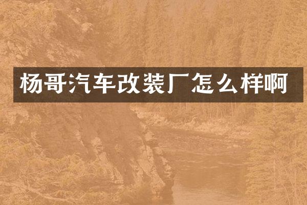 杨哥汽车改装厂怎么样啊