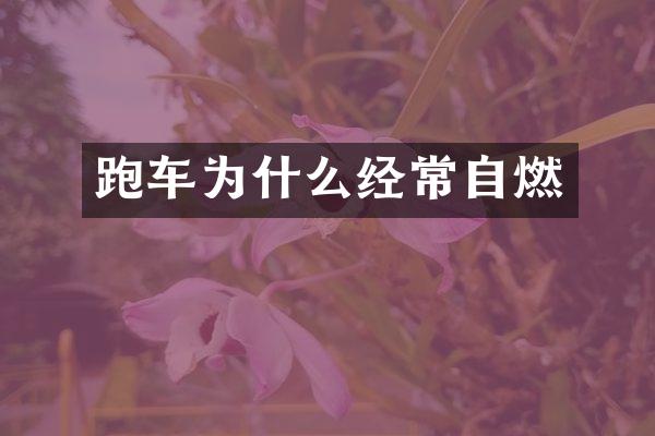 跑车为什么经常自燃