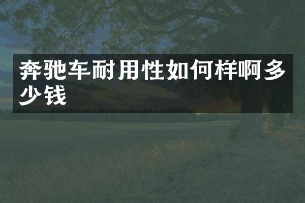奔驰车耐用性如何样啊多少钱