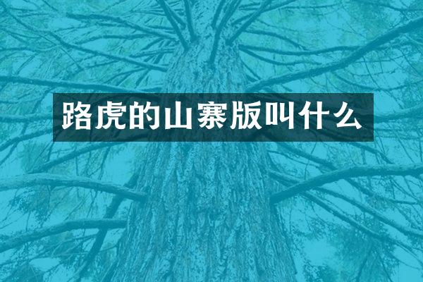 路虎的山寨版叫什么