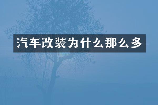 汽车改装为什么那么多