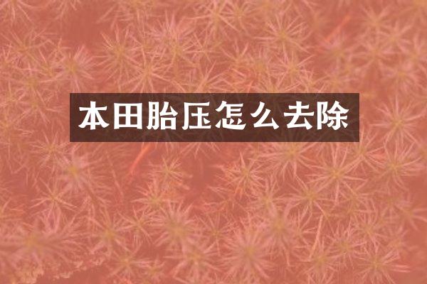 本田胎压怎么去除