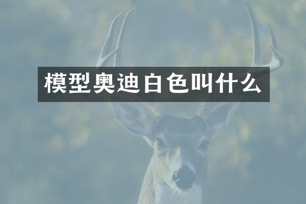 模型奥迪白色叫什么