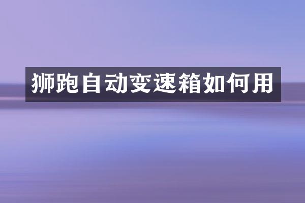 狮跑自动变速箱如何用