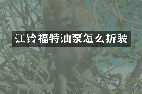江铃福特油泵怎么拆装