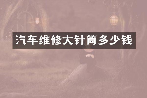 汽车维修大针筒多少钱