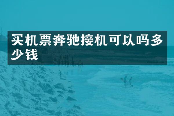 买机票奔驰接机可以吗多少钱