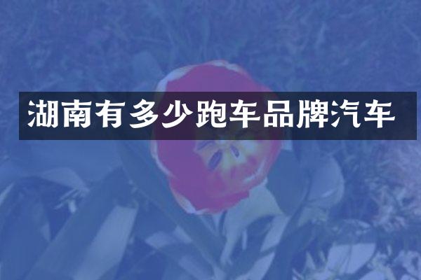 湖南有多少跑车品牌汽车