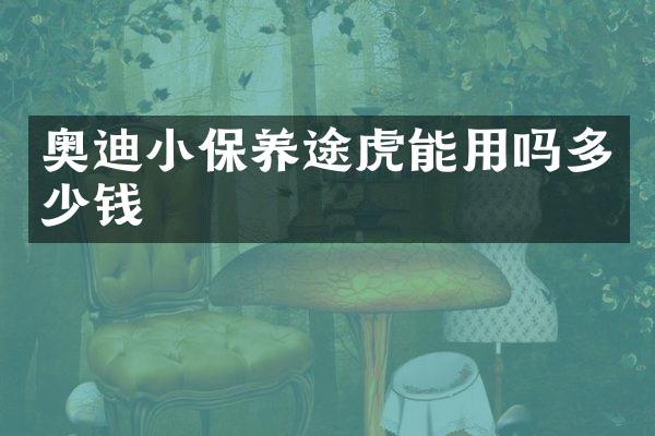 奥迪小保养途虎能用吗多少钱