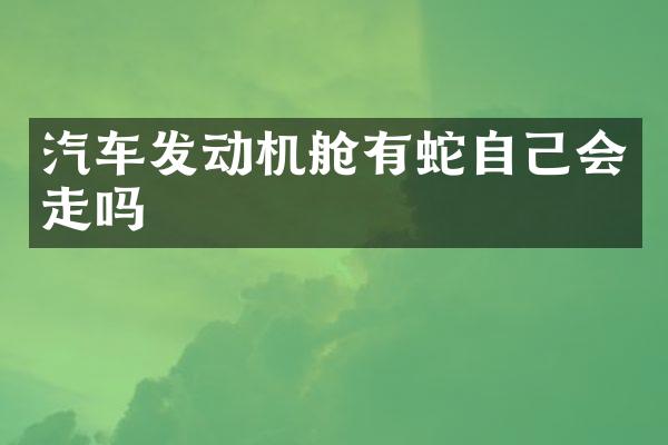汽车发动机舱有蛇自己会走吗