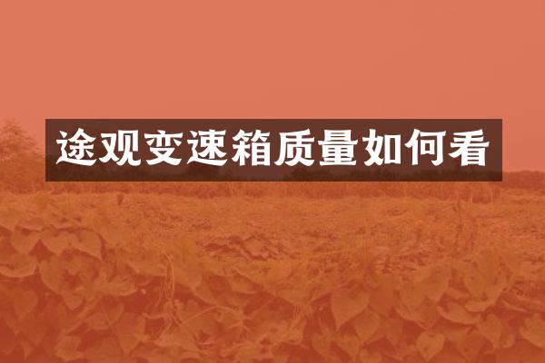 途观变速箱质量如何看