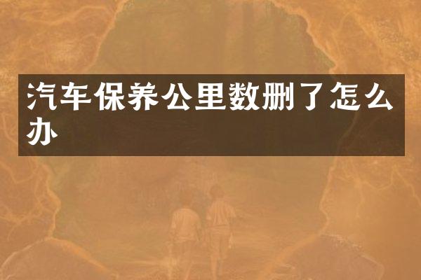 汽车保养公里数删了怎么办